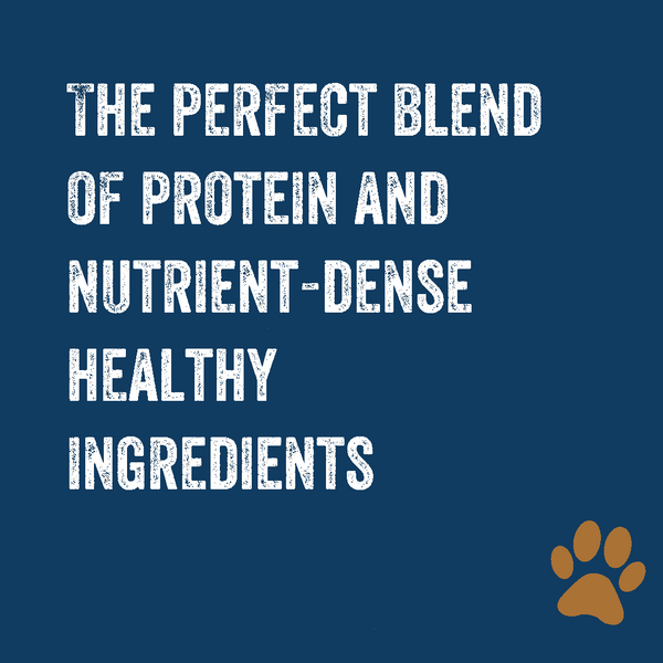 Essential Blend Premium Dog Food