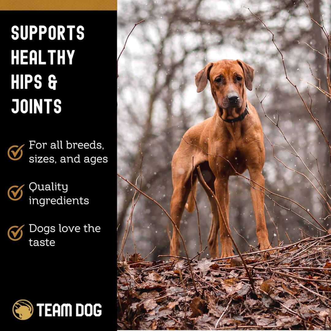 Hip & Joint Soft Chews, 120 ct