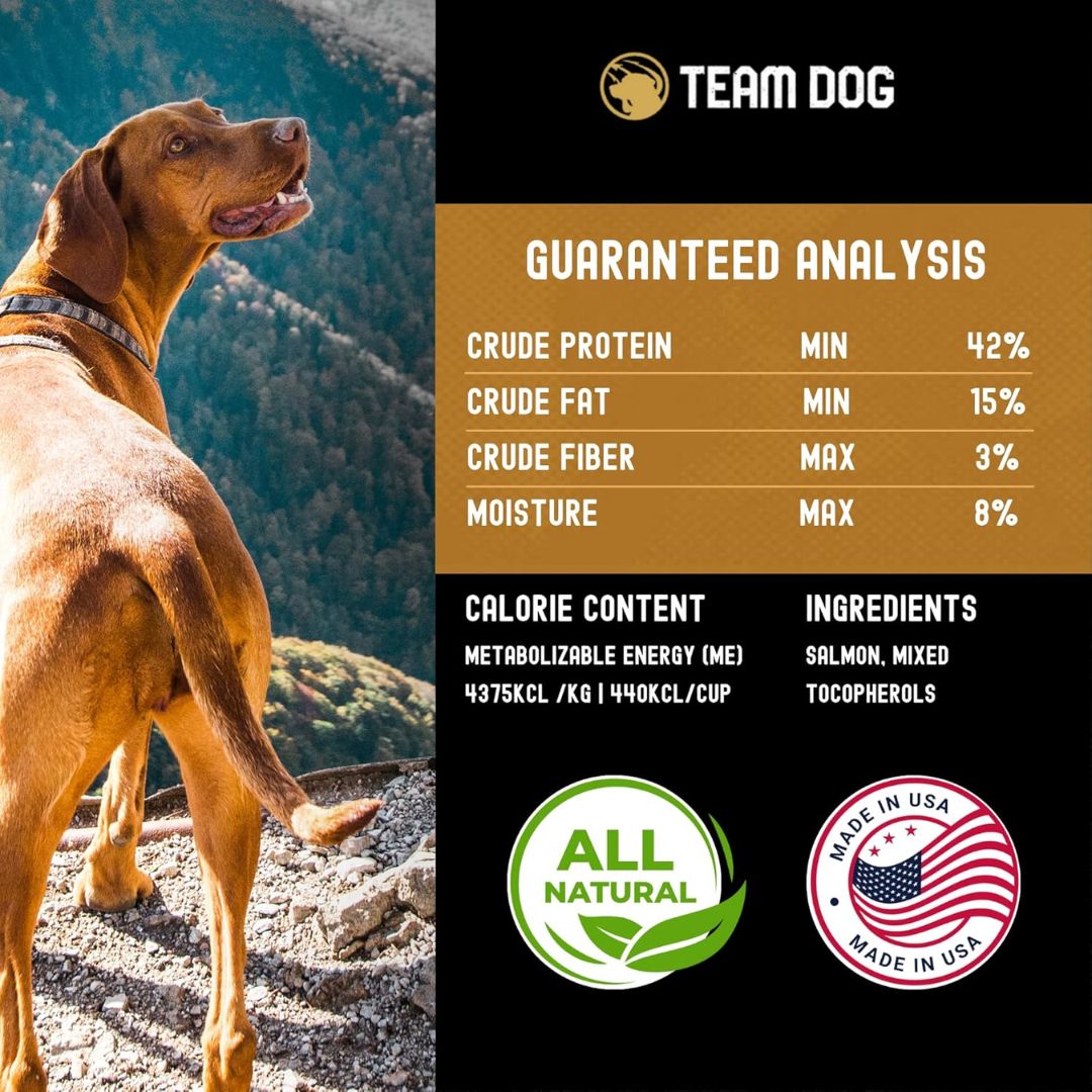 Salmon Bites Dog Treats Freeze-Dried Raw, 5 oz