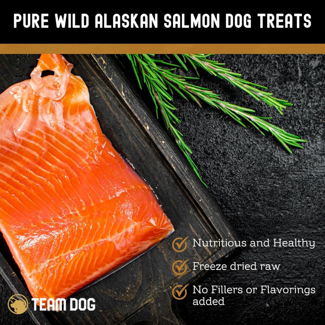 Salmon Bites Dog Treats Freeze-Dried Raw, 5 oz