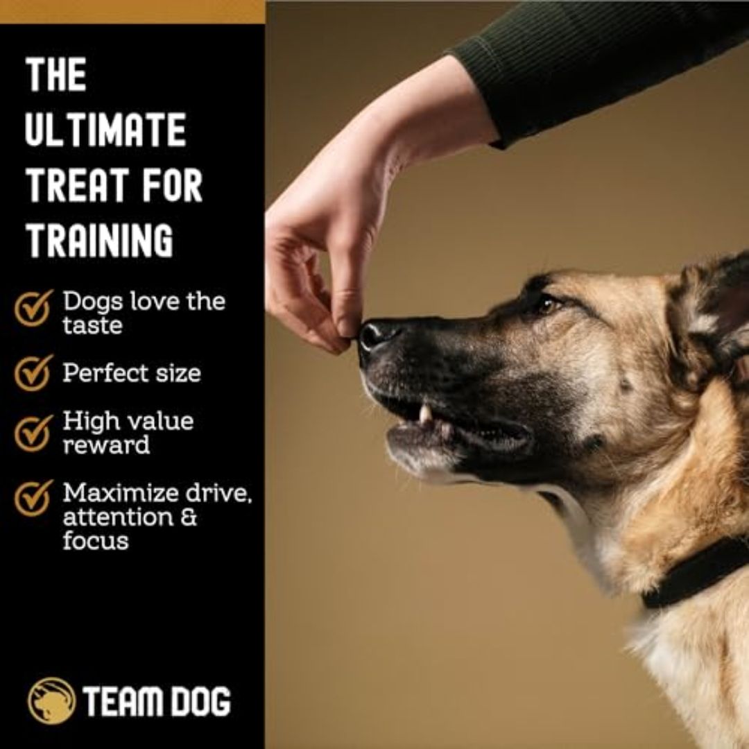 Salmon Bites Dog Treats Freeze-Dried Raw, 5 oz