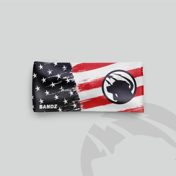 Team Dog Training Headband - U.S. Flag