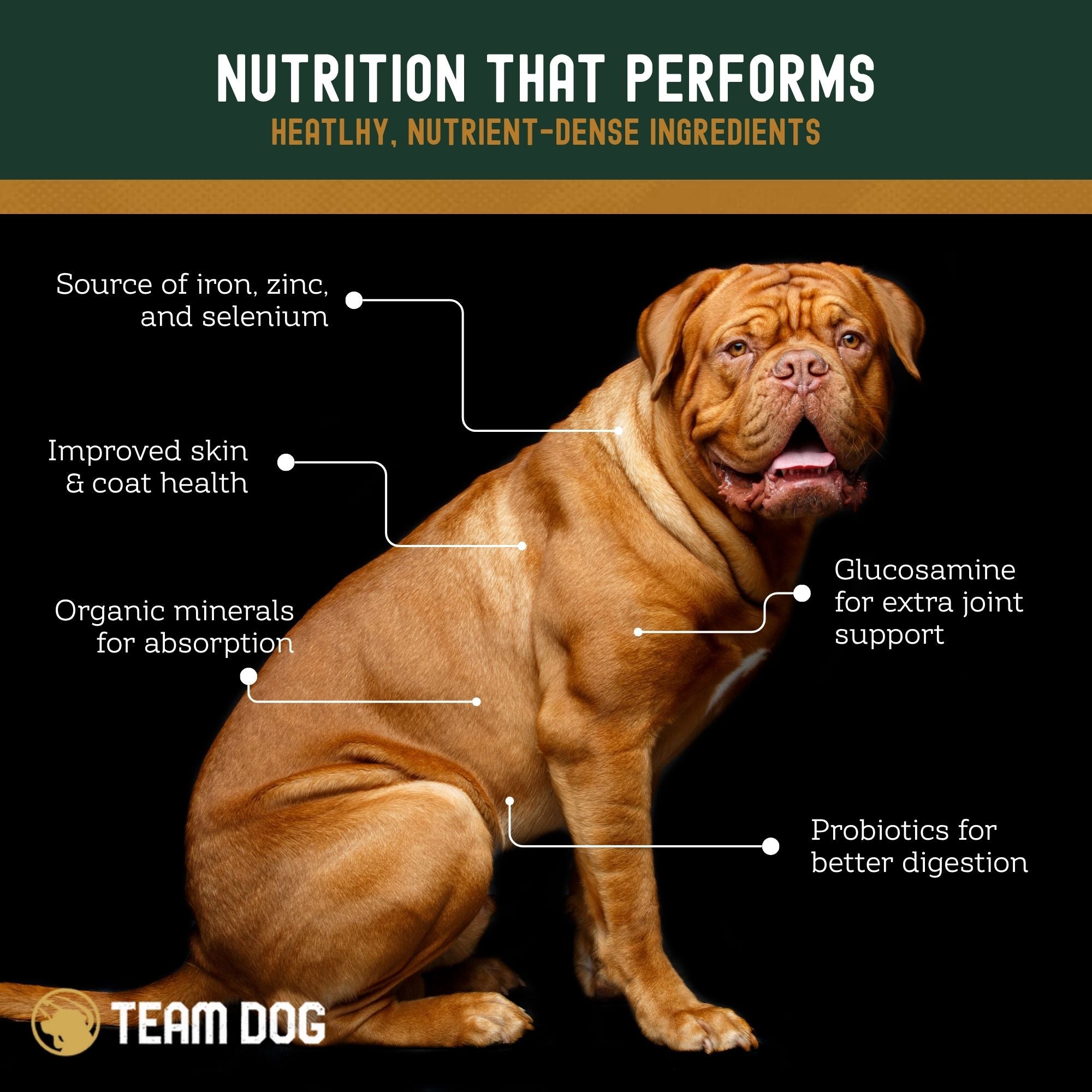 Element Blend Premium Dog Food