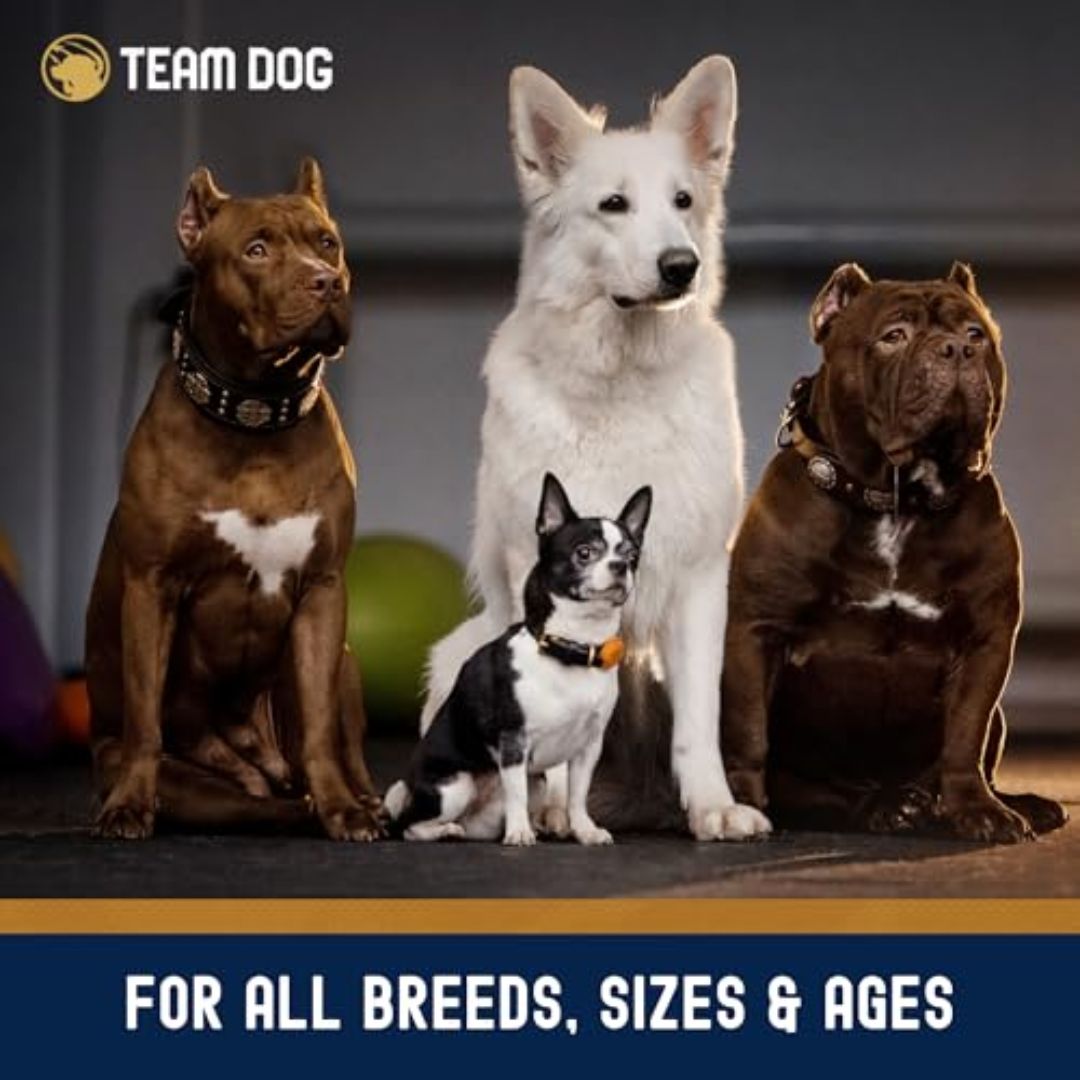 Team Dog premium dog food