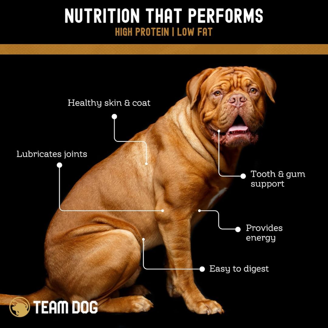 Team Dog Elite Blend premium dog food