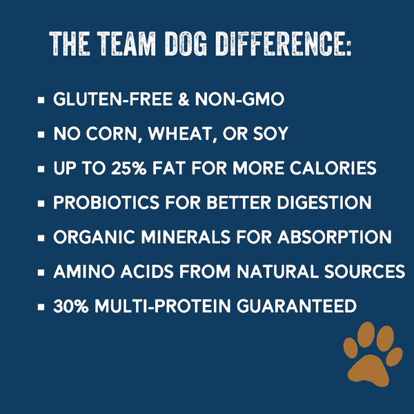 Try Team Dog Food, Treats, + Free Gift