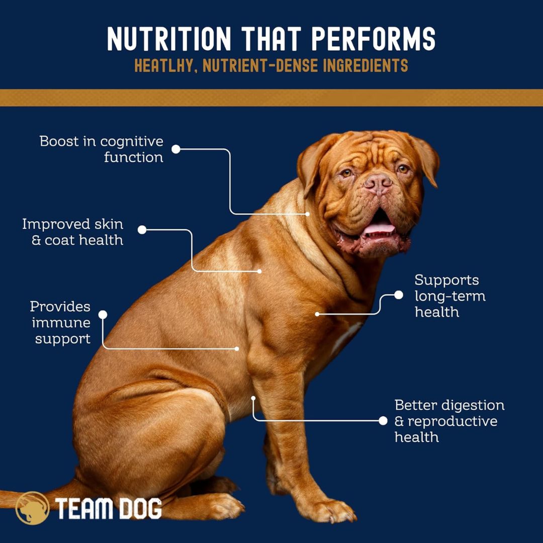 Team Dog Food & Treats Sample Pack