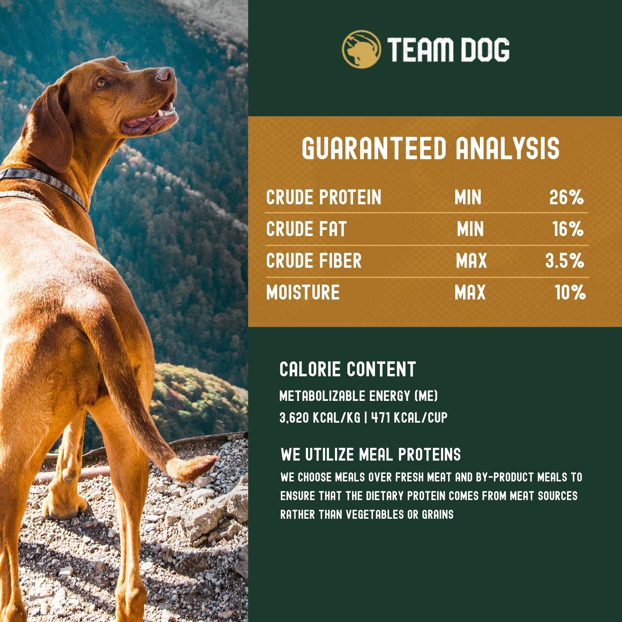 Element Blend Premium Dog Food