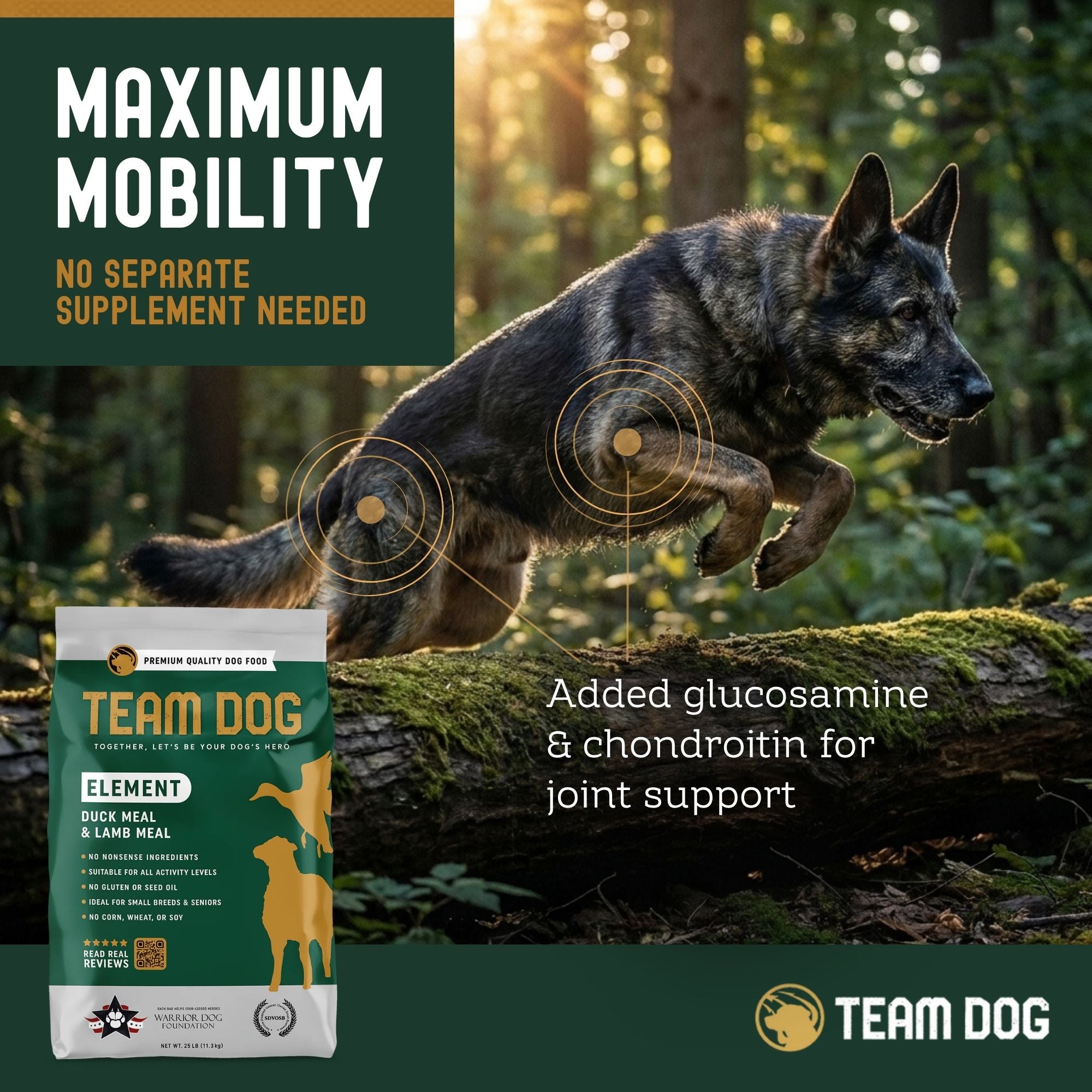 Dog running in a forest with Team Dog pet food package and text about maximum mobility and joint support.