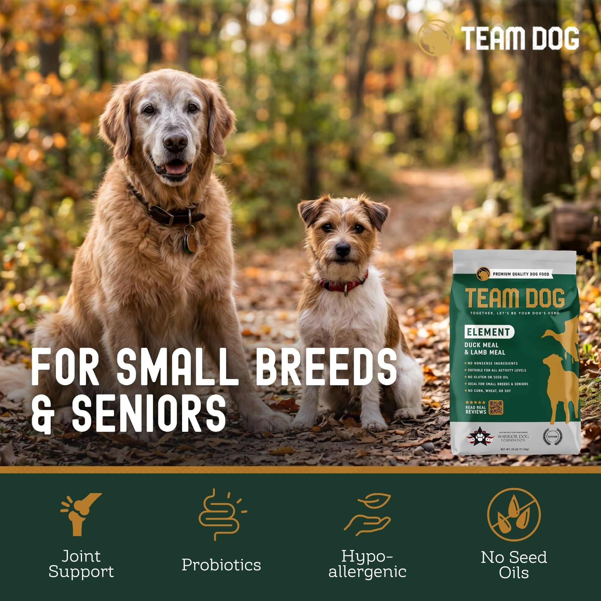Two dogs sitting in a forest with a 'Team Dog' pet food package displayed.