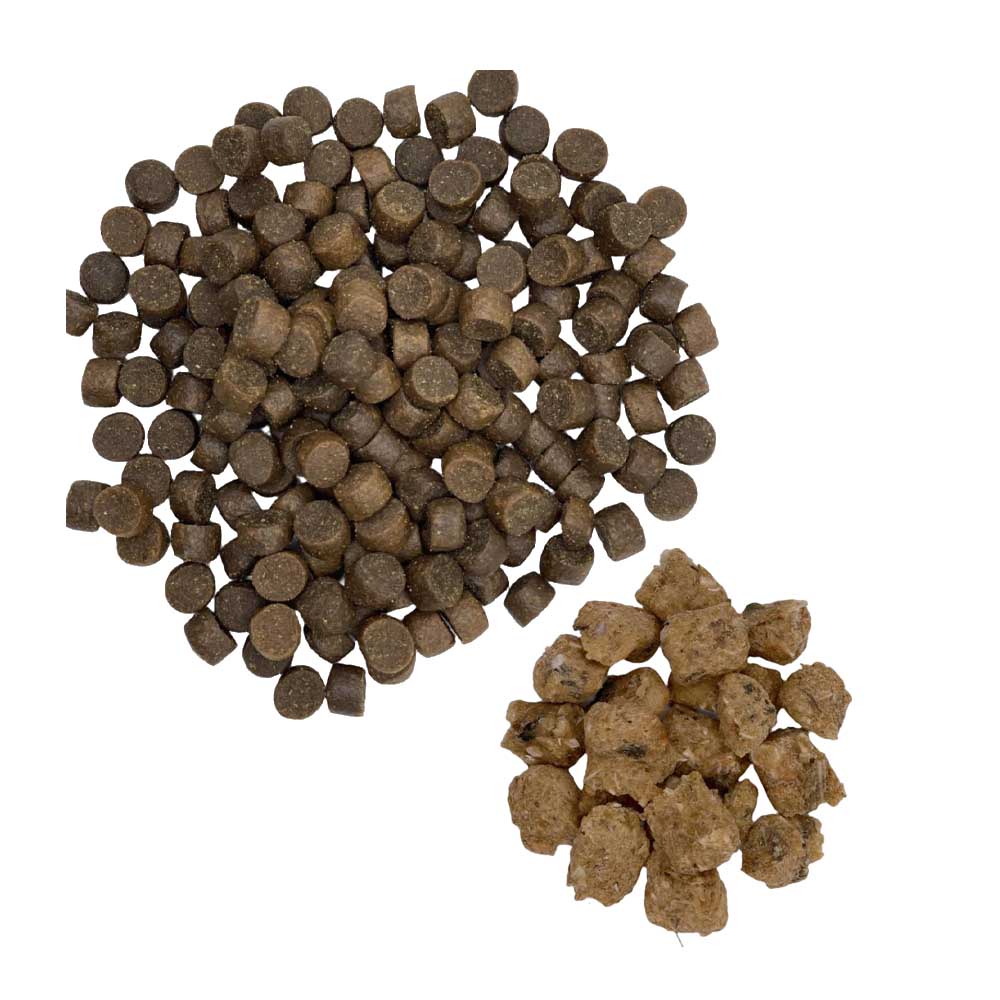 Team Dog Food Sample + Bonus Treats