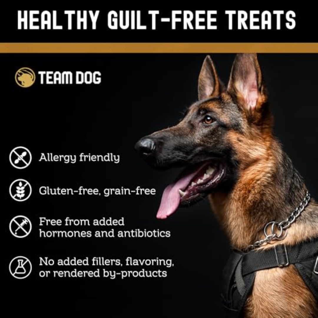 Turkey Bites Dog Treats Freeze-Dried, 5.2 oz