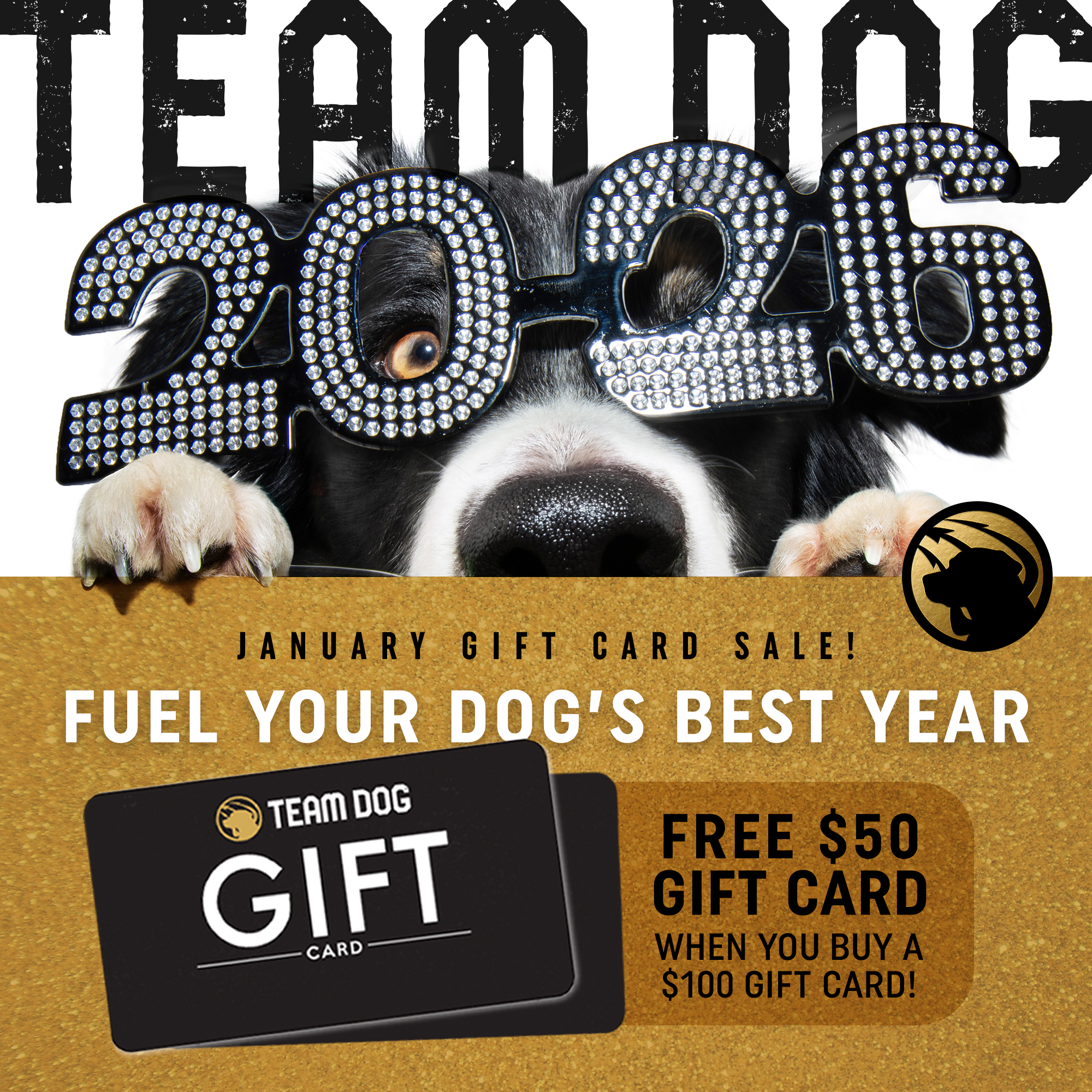 Team Dog Shop Gift Card