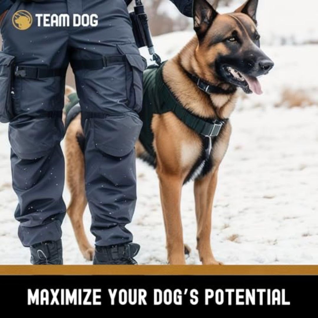 Raw Beef + Herring + Tripe Dog Food