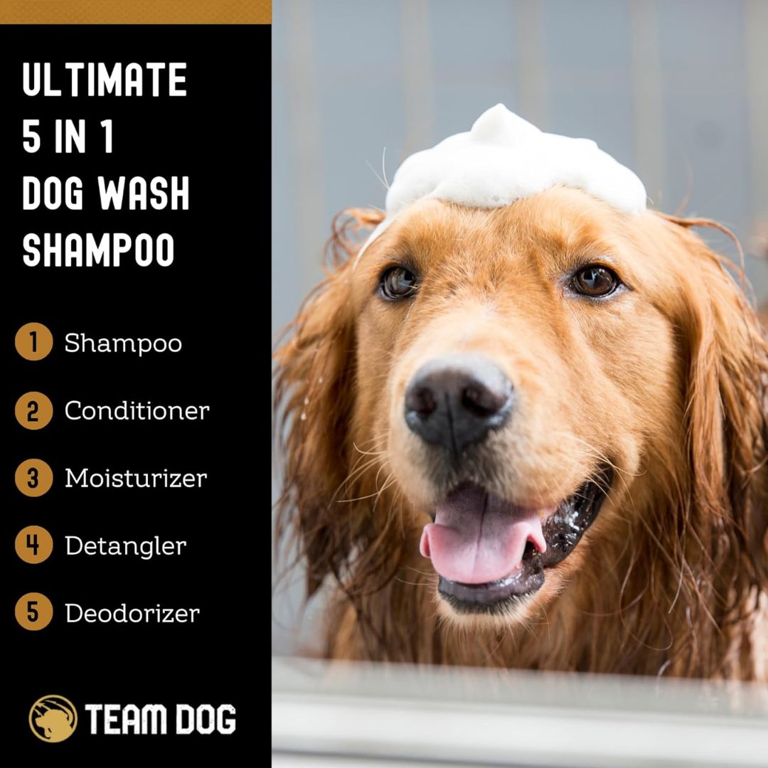 5-in-1 Stud Wash Shampoo - 16 floz