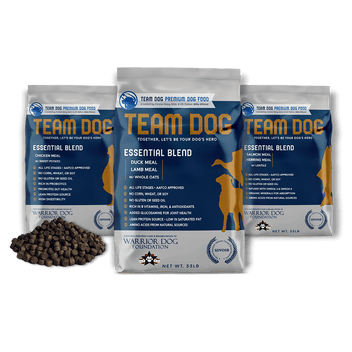 The Team Dog Story