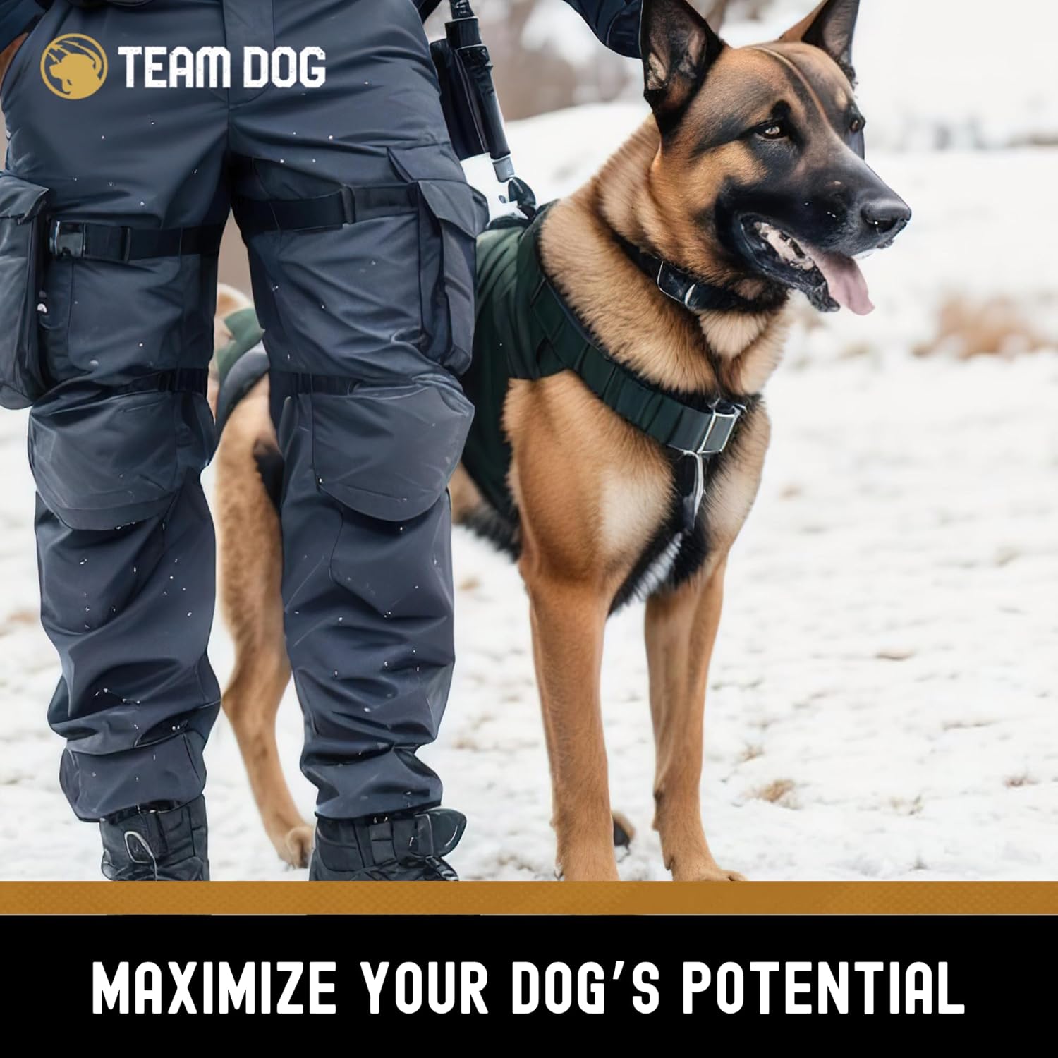 Best dog food. Team Dog Raw Chicken Whole Carcass Dog Food