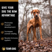 Best dog food. Team Dog Raw Chicken Whole Carcass Dog Food