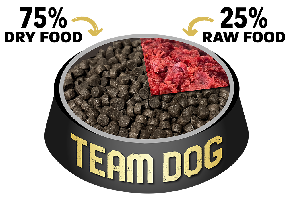 Team Dog Raw Feeding guide