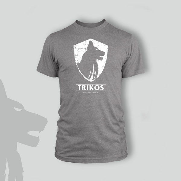 Trikos Men’s T-Shirt - Gray